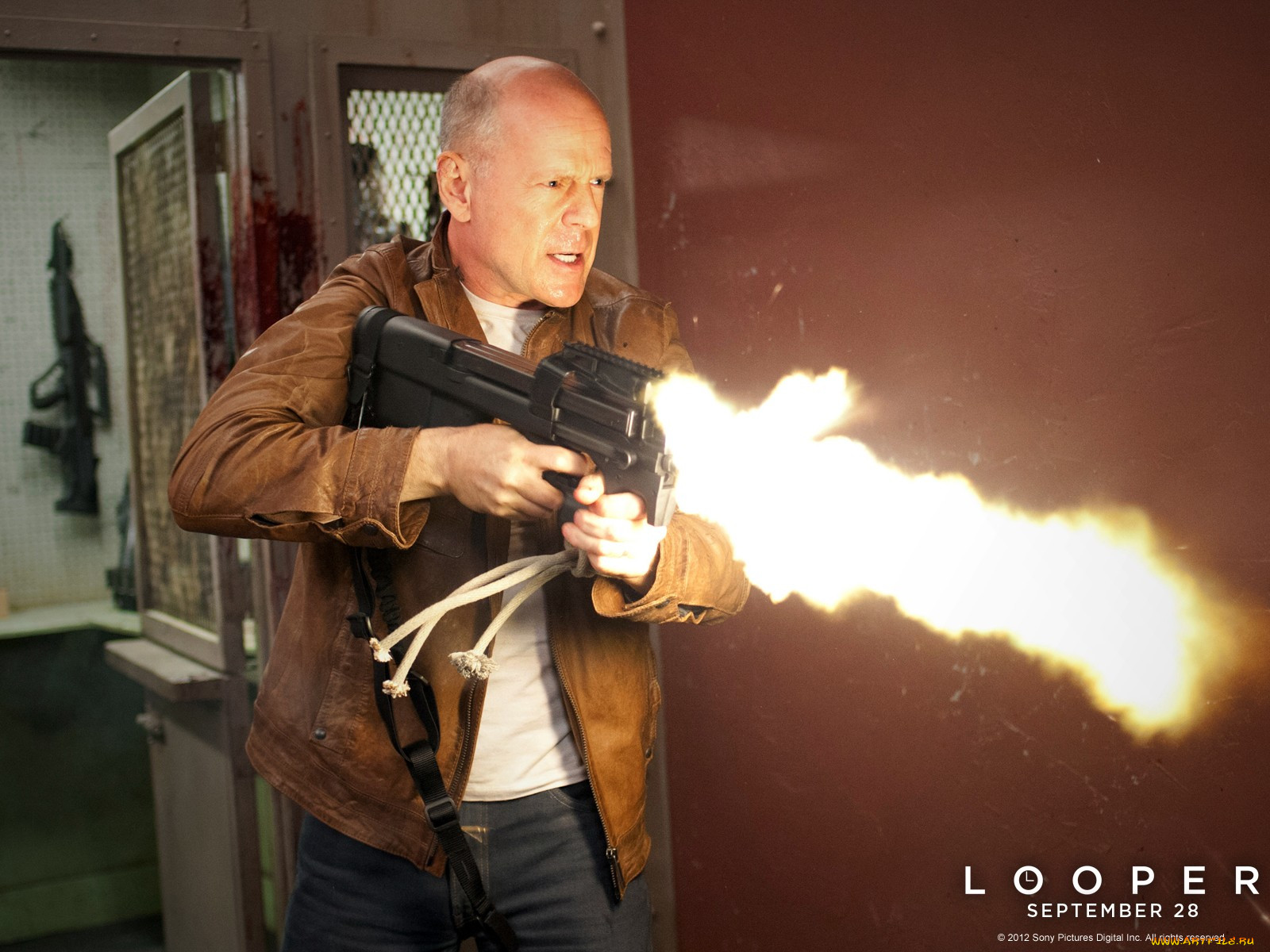 , , looper